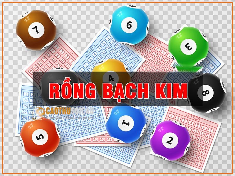 Có nên tham gia soi cầu rồng bạch kim không?